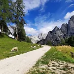 Mit Balkon By Interhome Apartment Gorje